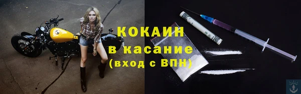 трава Осинники
