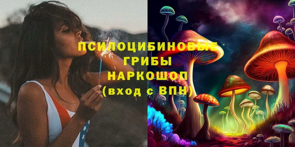 трава Осинники