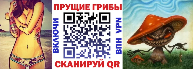купить   KRAKEN вход  Псилоцибиновые грибы мухоморы  Владикавказ 